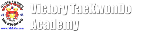 Victory TaeKwonDo Academy